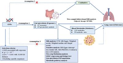 Gut microbiota influence on lung cancer risk through blood metabolite mediation: from a comprehensive Mendelian randomization analysis and genetic analysis